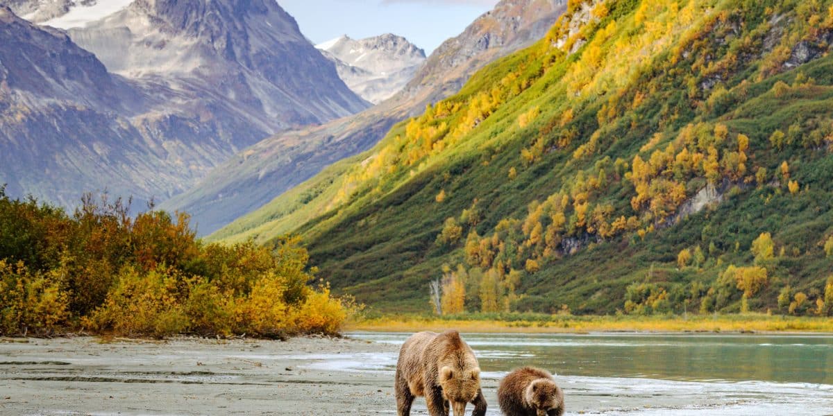 Projet de mine d'or en Alaska contesté par les tribus autochtones.